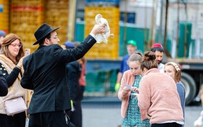 EN IMAGES. Journée des Kapparot à Crown Heights