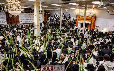 EN IMAGES. Hochaana Rabba au 770