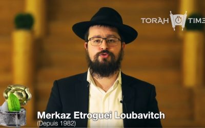 Torah Times : Comment choisir un Etrog ? par le Rav Morde&rsquo;hai Edery