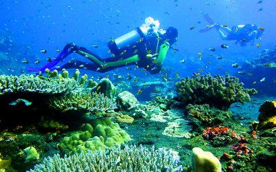 Drame en Thaïlande : Une Israélienne de 22 ans meurt dans un accident de plongée sous marine