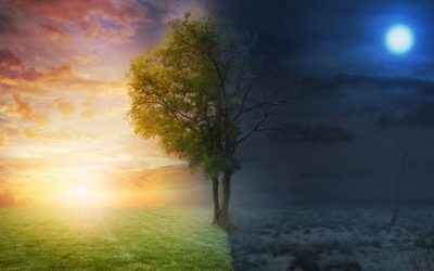 La notion de bien et de mal dans la Hassidout par le Rav Avraham Barou&rsquo;h Pevzner