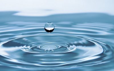 La rubrique réflexion… Les eaux de la Torah… par Ruth Benitah