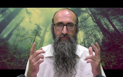La bénédiction des fils – birkat Cohanim – Rav Its&rsquo;hak Peretz