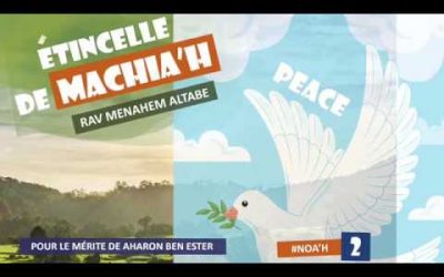 Etincelles de Machia&rsquo;h : Nos amis les bêtes sauvages…