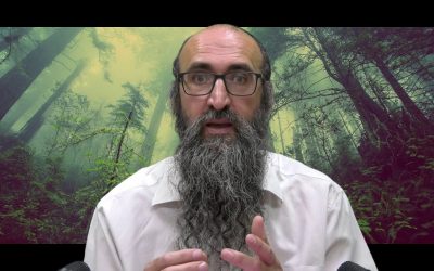 On va changer le monde – 3 : « Sim Chalom » : la Bra&rsquo;ha du Machia&rsquo;h ! Rav Yts&rsquo;hak Peretz