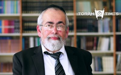 Torah Times  La paracha de Noa&rsquo;h par le Rav Elie Uzan