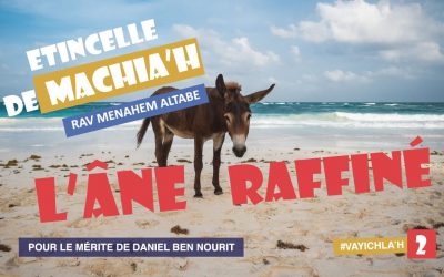 Etincelle de Machia&rsquo;h : l&rsquo;âne raffiné