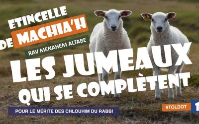 Les jumeaux qui se complètent