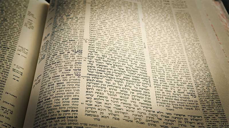 Guemara – Talmud Sota 46a, Rachi, Hala’ha et Hassidout