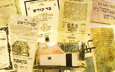 9-10 Kislev : Quelques anecdotes sur Rabbi DouBer, l’Admour Haémtsahi