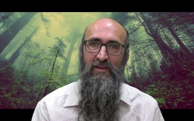 « On va changer le monde! » (4) – Les six Tsadikim du Birkat Hamazone – Rav Its&rsquo;hak Peretz