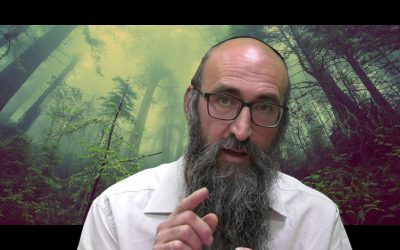 On va changer le monde 5 – l&rsquo;homme aux cheveux longs – Rav Its&rsquo;hak Peretz