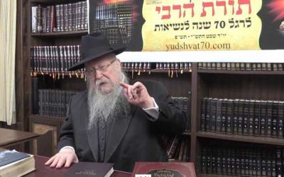 Motsaei Chabbat avec le Rav Chmouel Butman : כוונת הרבי היתה רק בנוגע להרבי הריי&rsquo;צ או גם לעצמו?