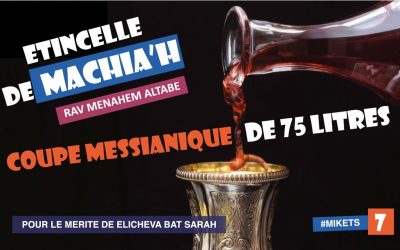 Coupe messianique de 75 litres