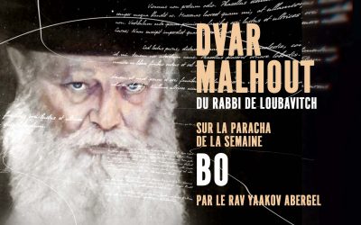 Dvar Mal&rsquo;hout  Paracha Bo 5780 (première partie) par le Rav Yaacov Abergel