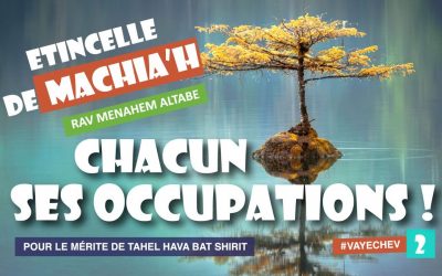 Etincelle de Machia&rsquo;h : Chacun ses occupations!