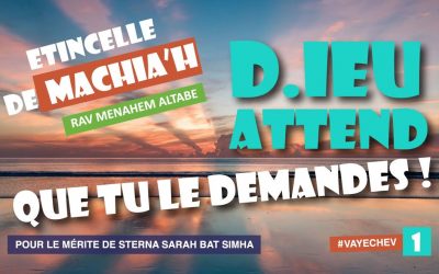 Etincelle de Machia&rsquo;h: D.ieu attend que tu le demandes!