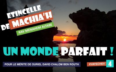 Etincelle de Machia&rsquo;h : Un monde parfait?
