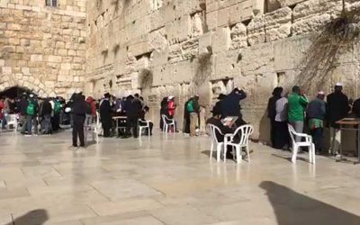 10 Tevet en direct du Kotel