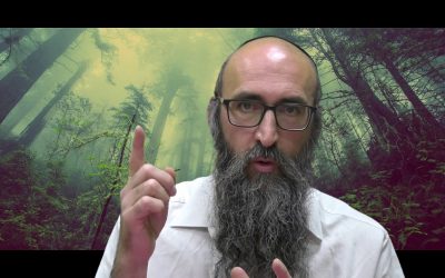 On va changer le monde 8 – Machia&rsquo;h est là !! – Rav Its&rsquo;hak Peretz