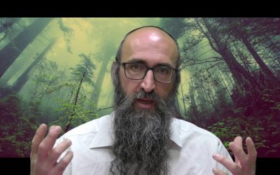 On va changer le monde 9 – Le secret des 6 tsadikim et des 24000 – Rav Its&rsquo;hak Peretz