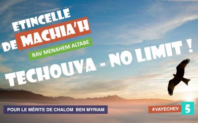 Téchouva- no limite