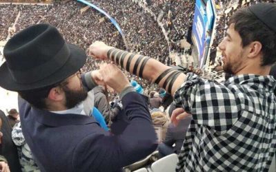 ‘Habad en action, au grand rassemblement de la conclusion de l’étude du Talmud, dans le New-Jersey