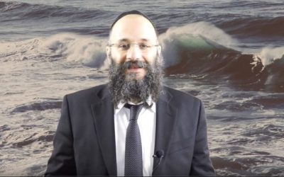Parachat Bechalach « 4 réactions, une réponse » par le Rav Chay Amar