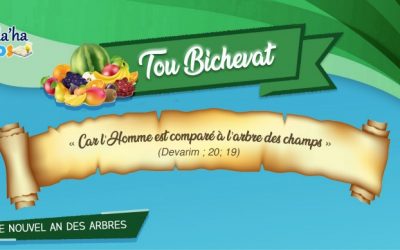 Hala&rsquo;ha Kids : Tou Bichevat, l&rsquo;homme est comparé à l&rsquo;arbre du champ