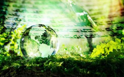 Tou Bichevat : L&rsquo;écologie et la Torah