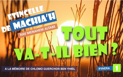 Erincelle de Machia&rsquo;h : Tout va-t-il bien ?