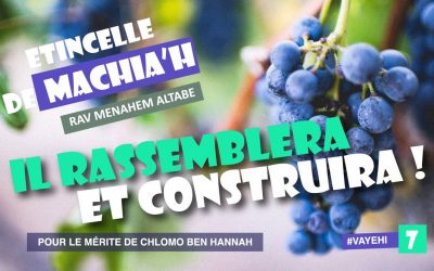 Etincelle de Machia&rsquo;h : Il rassemblera et construira !