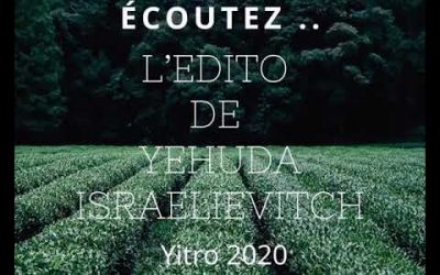 « Ensemble » L’édito de Yehuda Israelievitch Paracha Yitro