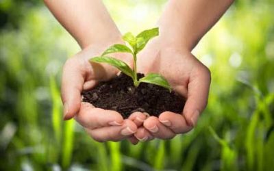 Comment réaliser son potentiel ?