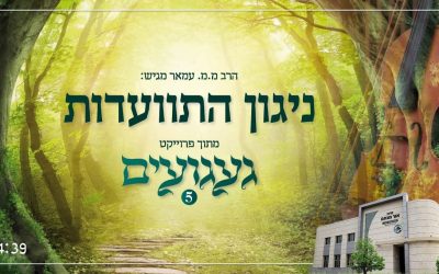 Nigoun Hitvaadout, par le Rav Menahem Mendel Amar