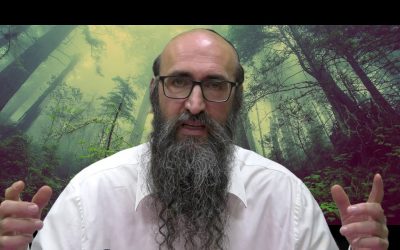 On va changer le monde 11 – Le secret des 6 tsadikim, l&rsquo;axe et le rond – Rav Yts&rsquo;hak Peretz