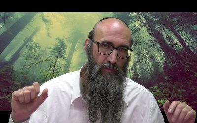 On va changer le monde 12 – Le secret des 6 tsadikim – le 6ème sens – Rav Its&rsquo;hak Peretz
