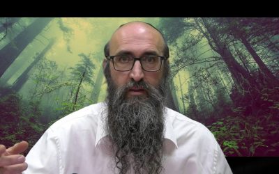 On va changer le monde 13 – le secret des 6 Tsadikim – « Les beaux cheveux » – Rav Its&rsquo;hak Peretz