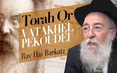 TORA OR VAYAKEL PEKOUDE PAR LE RAV BARKATZ 5780