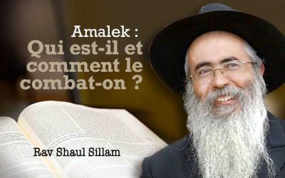 Amalek – Qui est-il et comment le combat-on ?