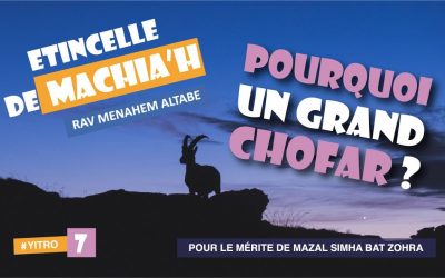 Etincelle de Machia&rsquo;h : Pourquoi un grand chofar ?
