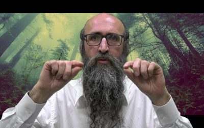 On va changer le monde 16 – Les 288 étincelles – Rav Yts&rsquo;hak Peretz