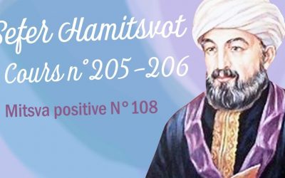 Sefer Hamitsvot : Les eaux d&rsquo;aspersion – Mitsva positive 108