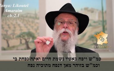 Tanya Chapitre 2-1 par le Rav Haïm Nisenbaum