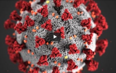 Aharei Kedochim: Le coronavirus n&rsquo;est pas la première épidémie! Le respect passe avant l&rsquo;amour ?