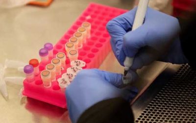 Coronavirus : trois médecins généralistes pensent avoir trouvé un possible remède à base d’azithromycine