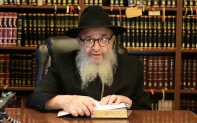 Psak Din du Rav Leibel Schapiro: « il est interdit de rassembler un Minyan à la synagogue , à l’extérieur, ou dans tout autre endroit »
