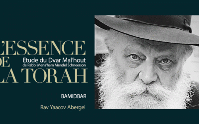 Texte et Audio : Dvar Mal’hout-Paracha Bamidbar  « Revenir à Un », par le Rav Yaacov Abergel