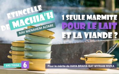 Etincelle de Machia&rsquo;h : Une seule marmite pour le lait et la viande ?