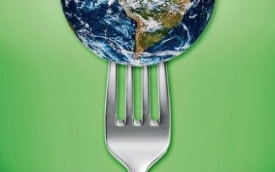 Behar-Behoukotai : Qu&rsquo;allons nous allons manger demain ?